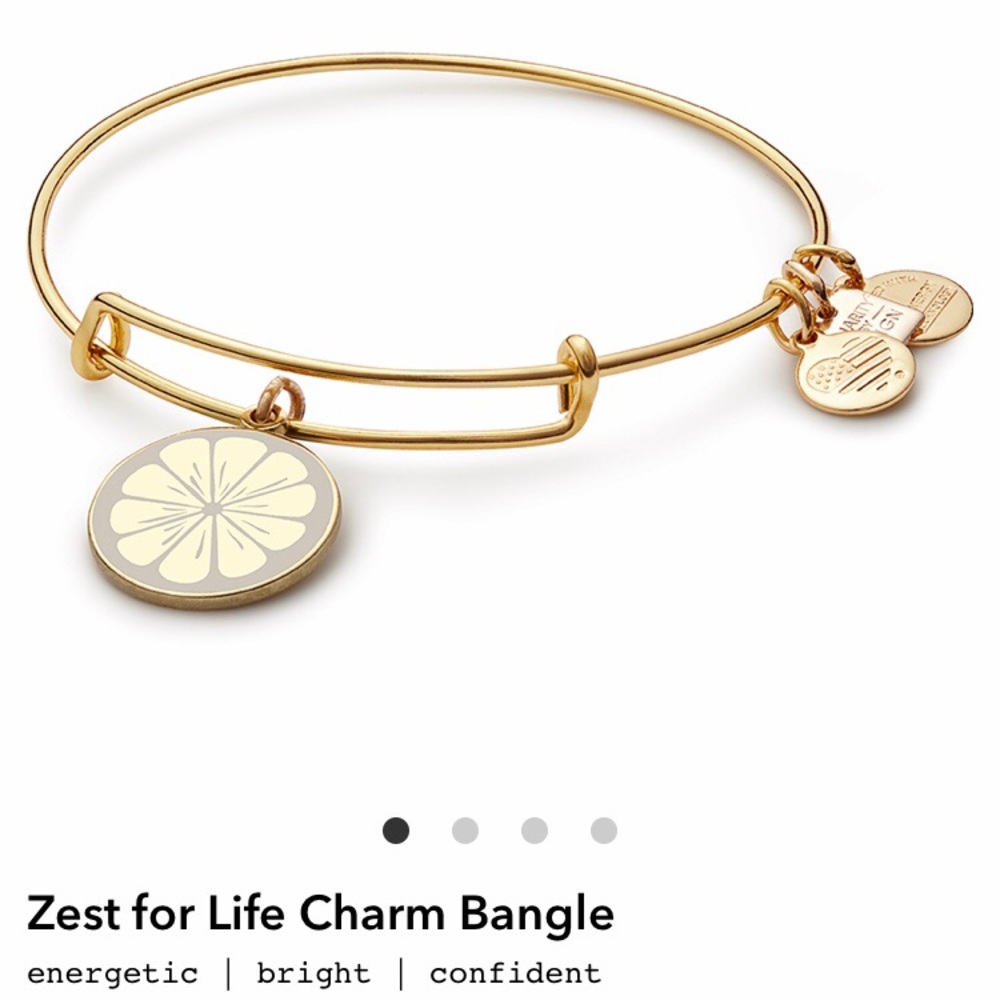 Alex and Ani | gold Zest for Life charm bracelet